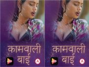 KamwaliBai